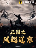 三国之风起辽东