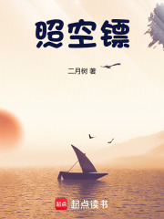 照空镖