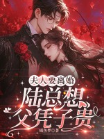  夫人要离婚，陆总想父凭子贵