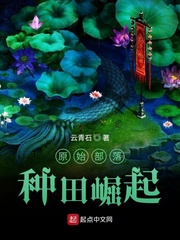  原始部落种田崛起